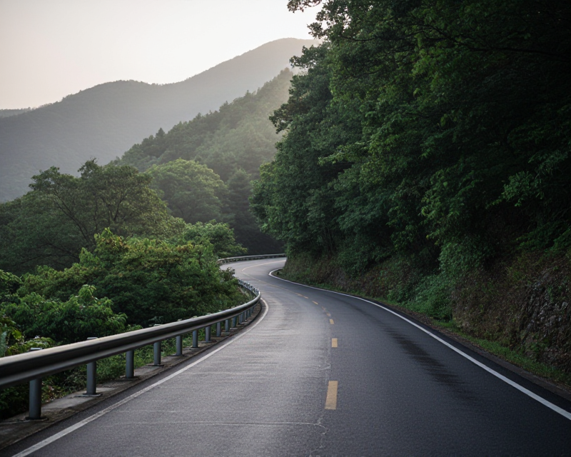 DMZ Road Scene